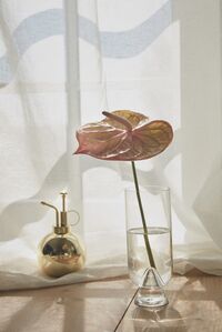GLACIES Vase Sort H23,5 cm