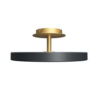 Asteria Up Ceiling Light Medium Ø43 Anthracite