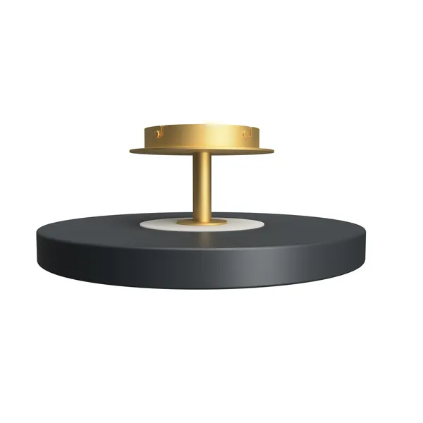 Asteria Up Ceiling Light Medium Ø43 Anthracite
