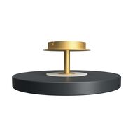 Asteria Up Ceiling Light Medium Ø43 Anthracite