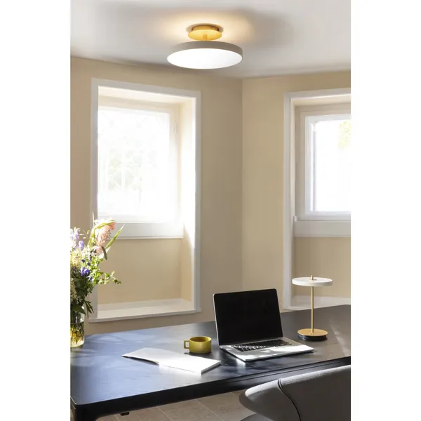 Asteria Up Ceiling Light Medium Ø43 Anthracite