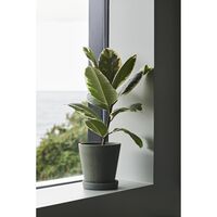 Flowerpot med fat M Grå