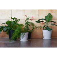Flowerpot med fat M Grå