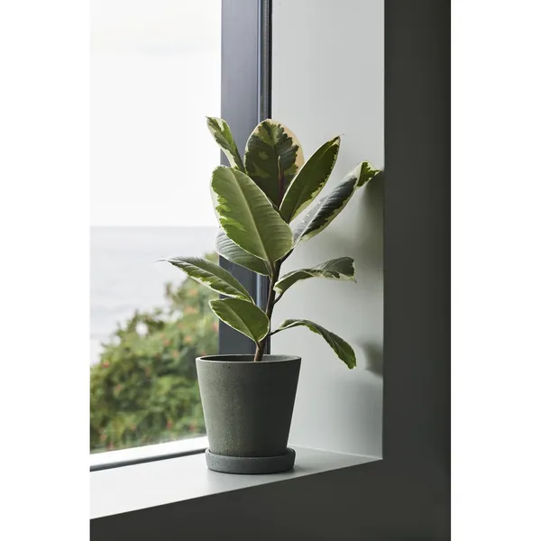 Flowerpot con platillo L Negro