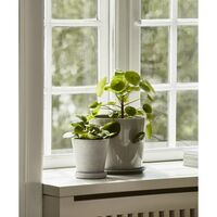 Flowerpot med skål XL Sort
