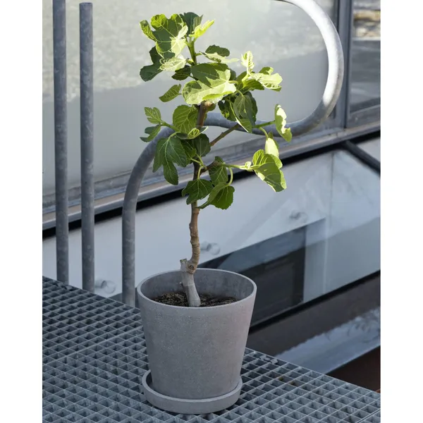 Flowerpot med skål XL Sort