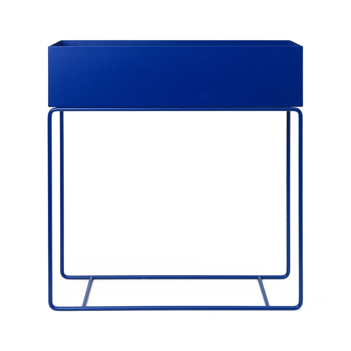 Pflanzenbox Klar Blau