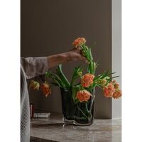 Aer Vase 19 Brændt
