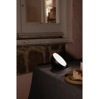 Sphere Lamp Portable Dark Bronze