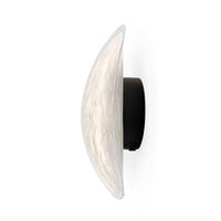 Tense Wall Lamp Hardwired