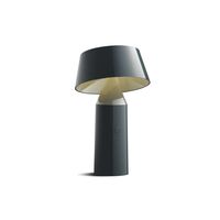 Antracyt