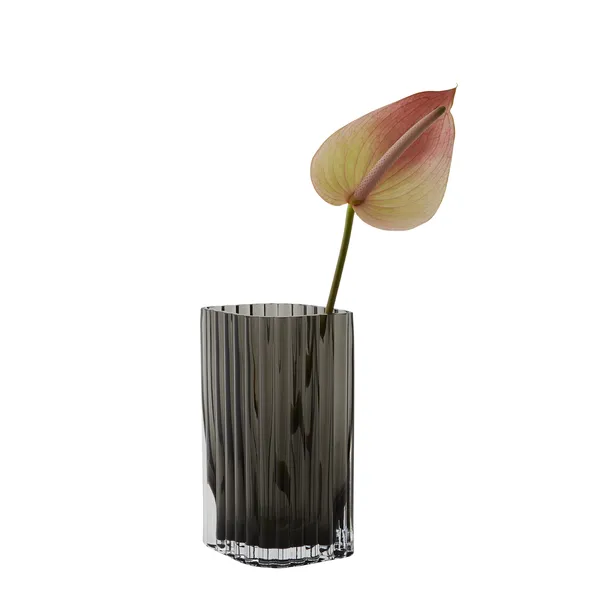 FOLIUM Vase 20 cm Sort