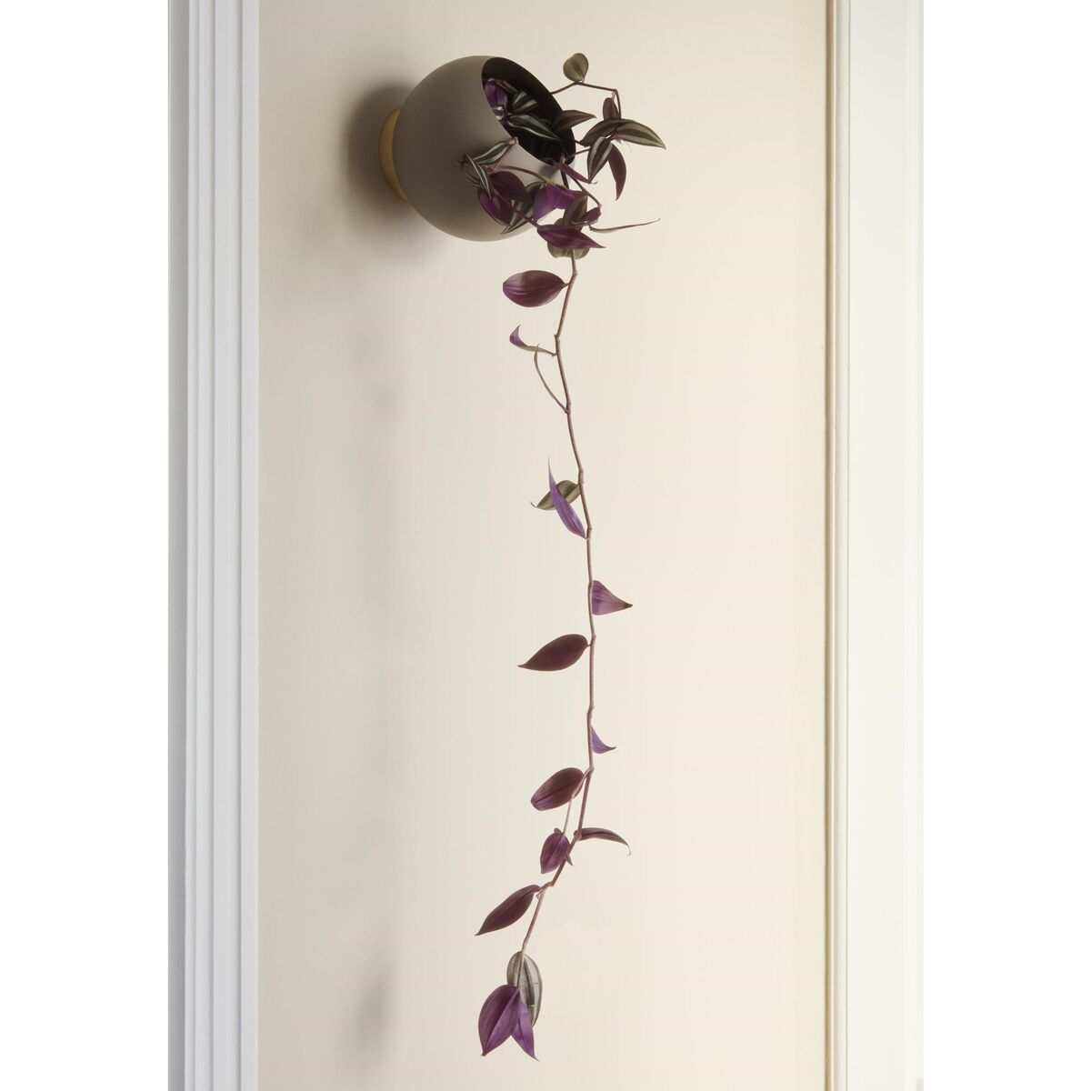 GLOBE Wall Flower Pot 18.8 cm Taupe
