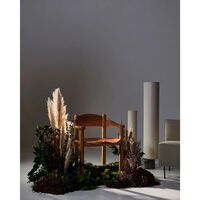 Daumiller Spisebordsstol med Armlæn Golden Pine