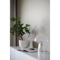 Fungo 22 Table Lamp Special Edition Clear