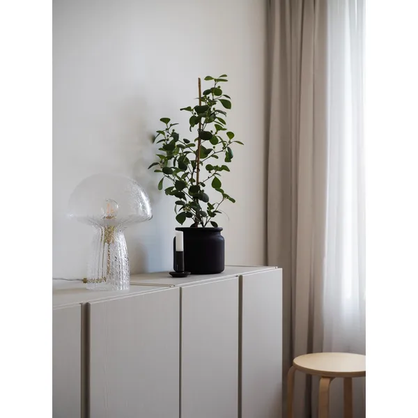 Fungo 22 Table Lamp Special Edition Clear