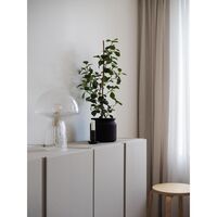 Fungo 22 Table Lamp Special Edition Clear