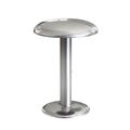 Polished Silver