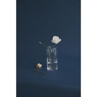 0405 Vaso Trasparente