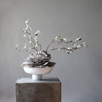 Baburu Schale Medium Bone White