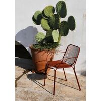 Hiray Dining Chair with Armrests Bordeaux