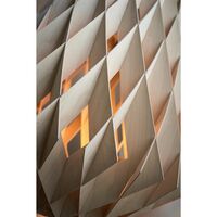 Signature 50 Pendant Birch