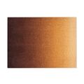 Dis Doormat 85x115 Matt Rust