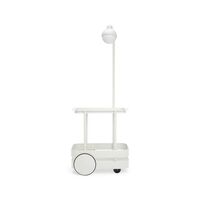 Jolly Trolley Trolley mit Lampe Hellgrau