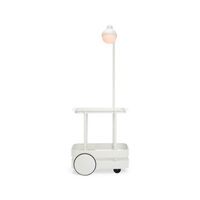 Jolly Trolley Trolley mit Lampe Hellgrau