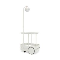 Jolly Trolley Trolley mit Lampe Hellgrau