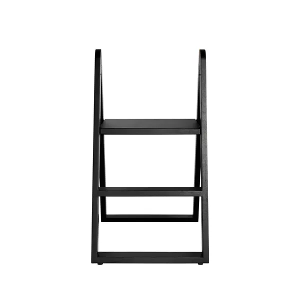 Reech Stepladder Black
