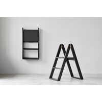 Reech Stepladder Black