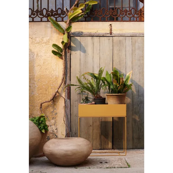 Plant Box Straw