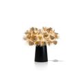 Gold Decor