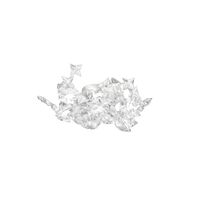 Hanami Wall/ Ceiling Light Transparent