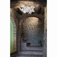 Hanami Wall/ Ceiling Light Transparent