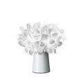 Wit decor