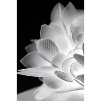 Veli Wall/ Ceiling Light Medium Foliage