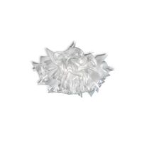 Veli Wall/ Ceiling Light Medium Prisma