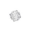 White Decor