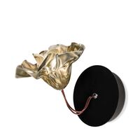 Fluweel / Zwart