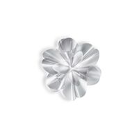 Etoile Wall/ Ceiling Light Transparent