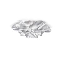 Etoile Wall/ Ceiling Light Transparent