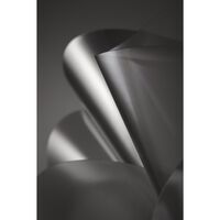 Etoile Wall/ Ceiling Light Transparent