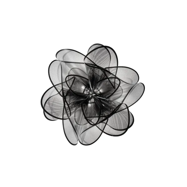 La Belle Etoile Wall/ Ceiling Light Black