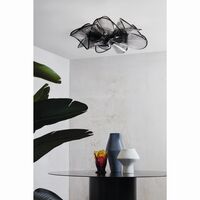 La Belle Etoile Wall/ Ceiling Light Black