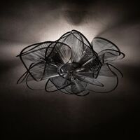 La Belle Etoile Wall/ Ceiling Light Black