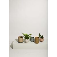 Era Pot Beige Set of 2