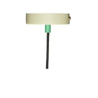 Crayon Pendant Green
