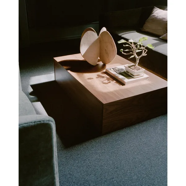 Mass Coffee Table High with Drawer